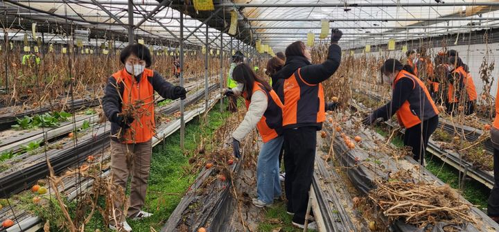 농가 돕기 사회공헌 활동(사진=경기도사회서비스원 제공) *재판매 및 DB 금지
