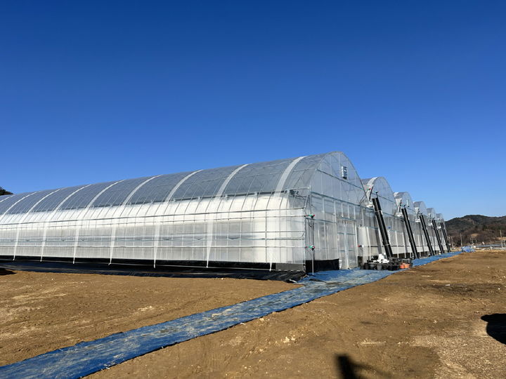 [예산=뉴시스] 충남 예산군 대흥면 갈산리 일원에 생긴 블루베리 연동하우스. (사진=예산군 제공) 2026.02.05. photo@newsis.com *재판매 및 DB 금지