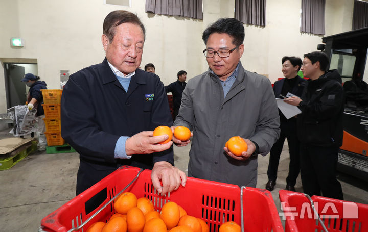 [서귀포=뉴시스] 우장호 기자 = 이춘협(오른쪽) 농협 제주본부장과 김성범 중문농협 조합장이 5일 제주 서귀포시 색달동 중문농업협동조합 유통사업소에서 만감류 대표 품종인 레드향을 살펴보고 있다.2012년 한·미 자유무역협정(FTA) 발효 당시 144%였던 미국산 만다린 수입 관세율은 매년 9.6%씩 단계적으로 인하돼 올해부터는 완전히 폐지됐다. 미국산 만다린은 주로 1~6월 국내에 유통되는데 이 시기는 제주 만감류 출하 시기와 겹쳐 가격 하락과 수익 감소가 우려되는 상황이다. 2026.02.05. woo1223@newsis.com