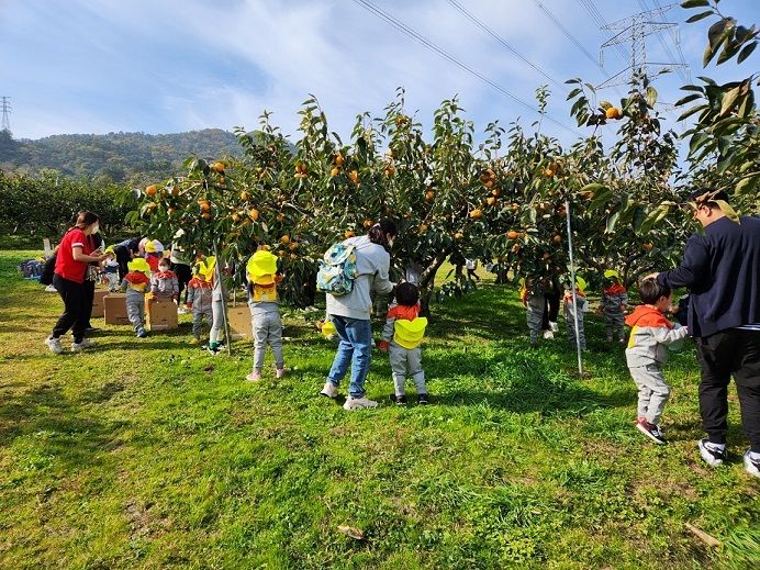 [창원=뉴시스] 강경국 기자 = 경남 창원시 단감테마공원 단감나무 생육 과정 체험 활동. (사진=창원시청 제공). 2026.02.06. photo@newsis.com *재판매 및 DB 금지