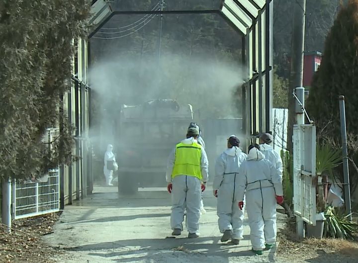 [창녕=뉴시스] 창녕군이 아프리카돼지열병(ASF) 확산을 차단하기 위해 농가 출입 차량에 대해 소독을 하고 있는모습. (사진= 창녕군 제공) 2026.02.06. photo@newsis.com *재판매 및 DB 금지