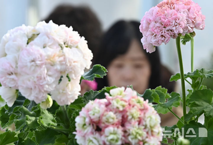 울산, 구름 많다가 맑음…최고 기온 11도 