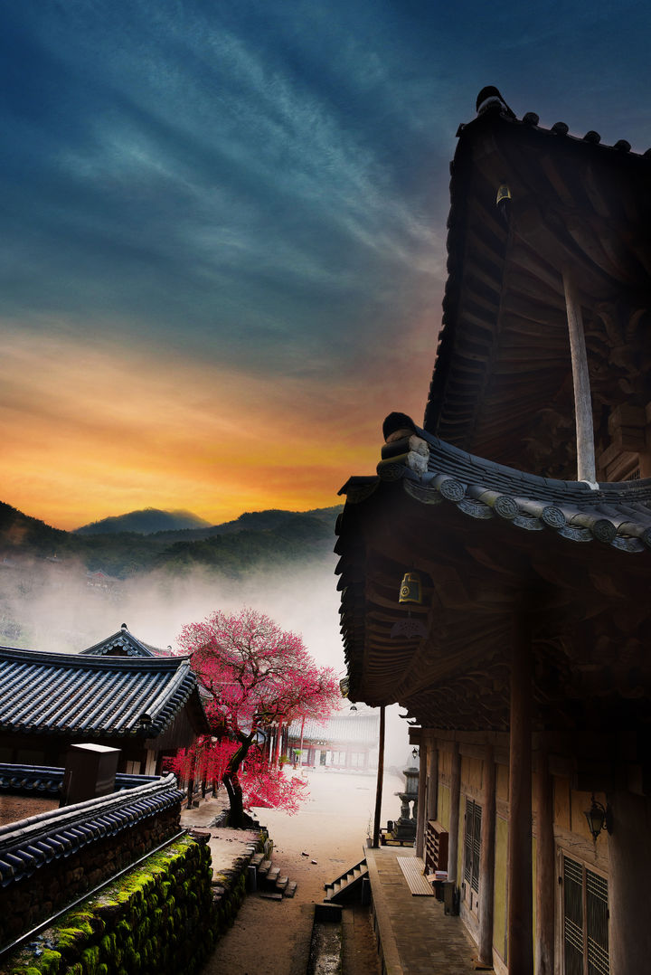 [서울=뉴시스] 대한불교조계종 제19교구 본사 지리산대화엄사는 오는 27일부터 3월 29일까지 '꽃피는 순간, 꿈이 피어난다'를 주제로 제6회 홍매화∙들매화 프로사진 및 휴대폰 카메라사진 콘테스트를 개최한다. 사진은 2024년 4회 수상작 옥맹선, 화엄매 자태. (사진=지리산대화엄사 제공) 2026.02.06. photo@newsis.com *재판매 및 DB 금지