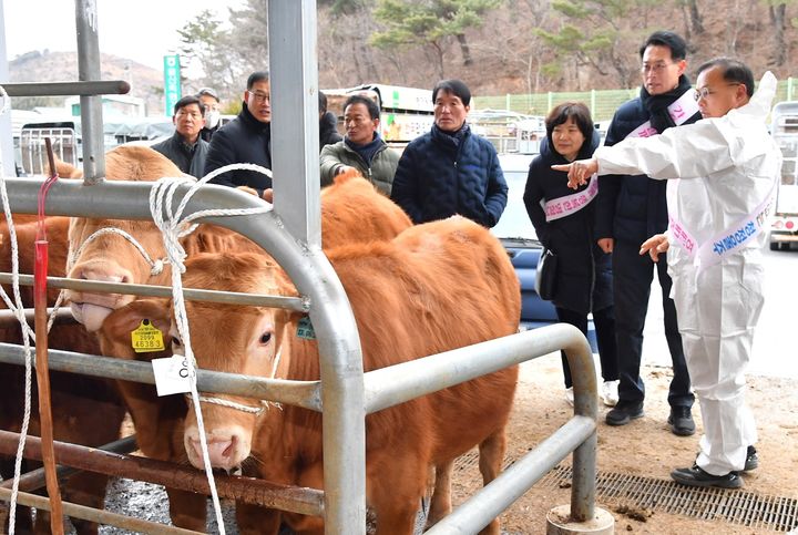 [울산=뉴시스] 이순걸 울산 울주군수와 관계 공무원들이 7일 울산축협 가축시장을 방문해 축산 농가 관계자들을 격려하고 애로사항을 청취하고 있다. (사진=울산 울주군 제공) 2026.02.07. photo@newsis.com *재판매 및 DB 금지