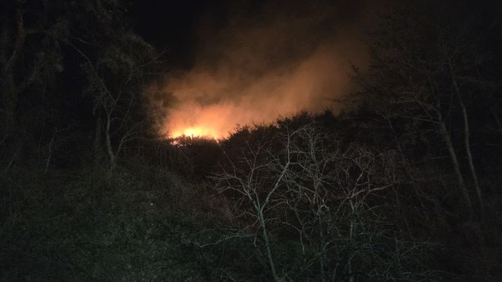 [경주=뉴시스] 7일 오후 9시32분께 경북 경주시 양남면 신대리 산45 일원에서 산불이 발생했다. (사진=산림청 중앙사고수습본부 제공) 2026.02.07. photo@newsis.com *재판매 및 DB 금지