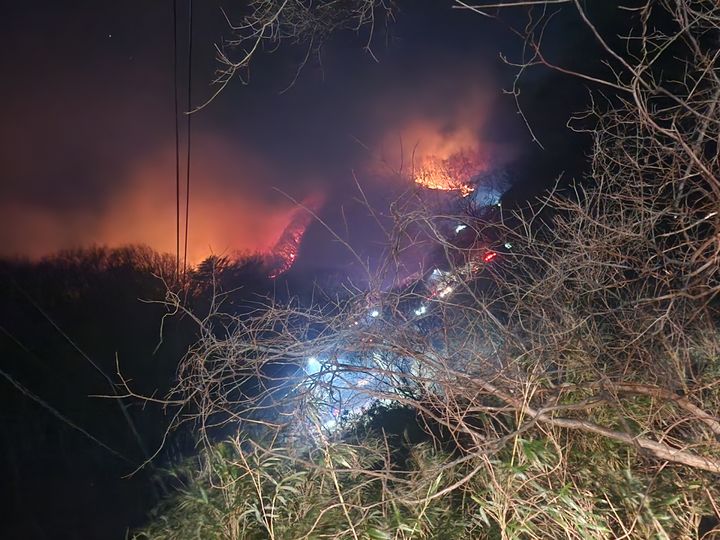 [경주=뉴시스] 경북 경주 양남면과 문무대왕릉면 일대에서 발생한 산불이 야간 진화 작업으로 진화율이 크게 높아졌다. (사진 = 산림청 제공) 2026.02.08. photo@newsis.com *재판매 및 DB 금지