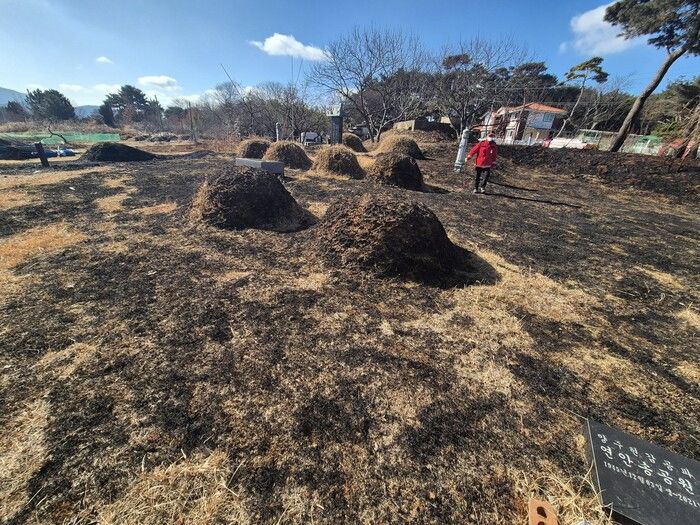 [보령=뉴시스] 7일 발생한 보령시 남포면 임야 화재 현장. (사진=보령소방서 제공) 2026.02.08 photo@newsis.com *재판매 및 DB 금지