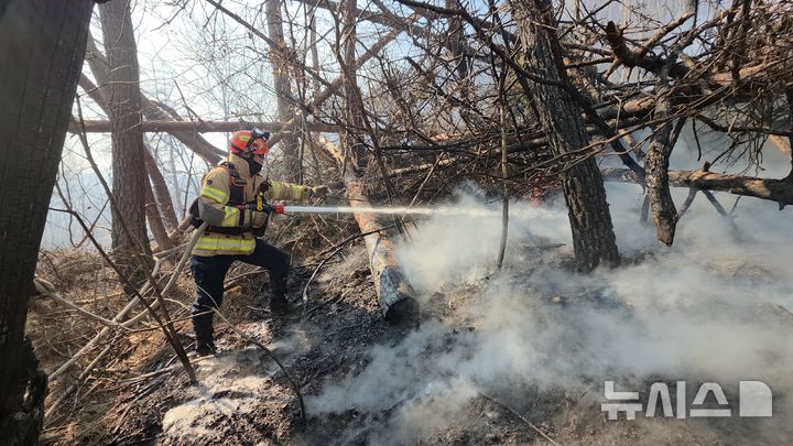 [경주=뉴시스] 8일 경북 경주시 문무대왕면 입천리 일원 야산에 화재가 발생한 가운데 소방 당국이 산불을 진압하고 있다.산림청 중앙사고수습본부에 따르면 지난 7일 경북 경주시 양남면과 문무대왕면에서 산불이 발생했다. 이날 오전 9시52분 기준 양남면은 주불진화가 완료됐으며 문무대왕릉면 진화율은 60%다. (사진=경북소방본부 제공) 2026.02.08. photo@newsis.com *재판매 및 DB 금지