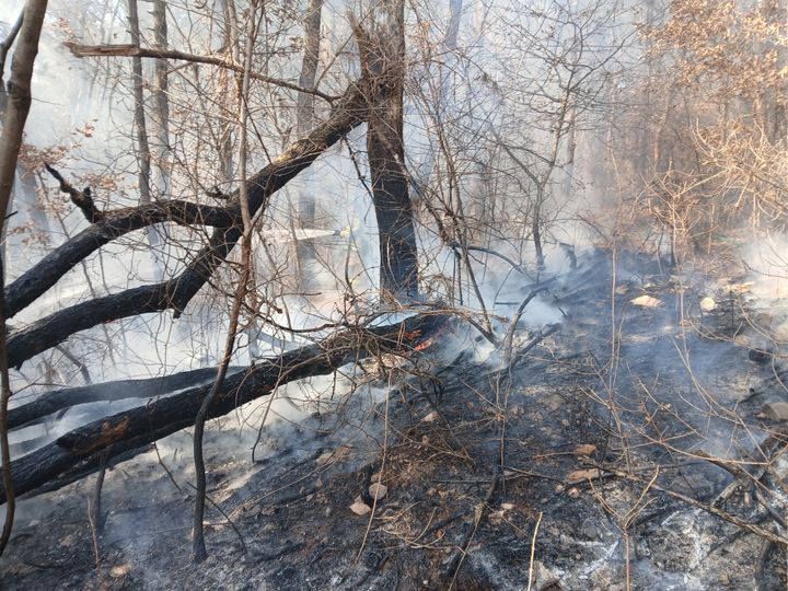 인천 백운산 화재 27분만에 진압…"소각 부주의 추정"