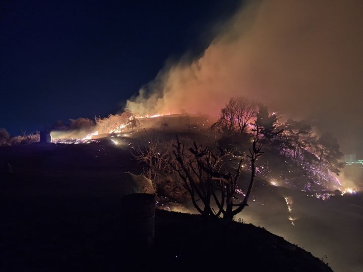 [여수=뉴시스] 8일 오후 7시47분께 여수시 묘도동 한 야산에서 불이 나 산림 당국이 진화 작업을 벌이고 있다. (사진=전남소방본부 제공) 2026.02.08. photo@newsis.com *재판매 및 DB 금지