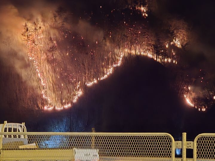 [속보]경주 문무대왕면 산불 재발화…강풍 속 진화 난항