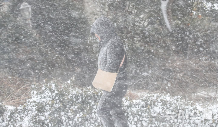 [제주=뉴시스] 우장호 기자 = 제주 지역 강설로 제주공항 활주로가 임시 폐쇄된 8일 오전 제주시 용담동에서 한 시민이 눈보라를 맞으며 걸어가고 있다. 2026.02.08. woo1223@newsis.com