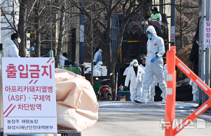[화성=뉴시스] 김종택 기자 = 8일 아프리카돼지열병(ASF)이 발생한 경기 화성시 한 양돈농가에서 방역관계자들이 분주하게 움직이고 있다.&nbsp; 방역당국은 아프리카돼지열병 확산 방지를 위해 해당 농장에 초동방역팀·역학조사반을 파견하고 사육중인 돼지는 아프리카돼지열병 긴급행동지침 등에 따라 살처분을 실시하고 있다. 2026.02.09. jtk@newsis.com