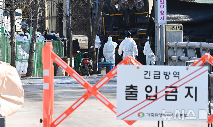 2월 초에 ASF 발생건수 작년 전체 넘어서…설 전후 차단방역 강화