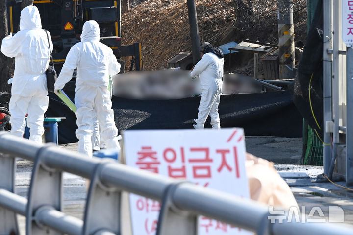 [화성=뉴시스] 김종택 기자 = 8일 아프리카돼지열병(ASF)이 발생한 경기 화성시 한 양돈농가에서 방역관계자들이 분주하게 움직이고 있다.&nbsp; 방역당국은 아프리카돼지열병 확산 방지를 위해 해당 농장에 초동방역팀·역학조사반을 파견하고 사육중인 돼지는 아프리카돼지열병 긴급행동지침 등에 따라 살처분을 실시하고 있다. 2026.02.09. jtk@newsis.com