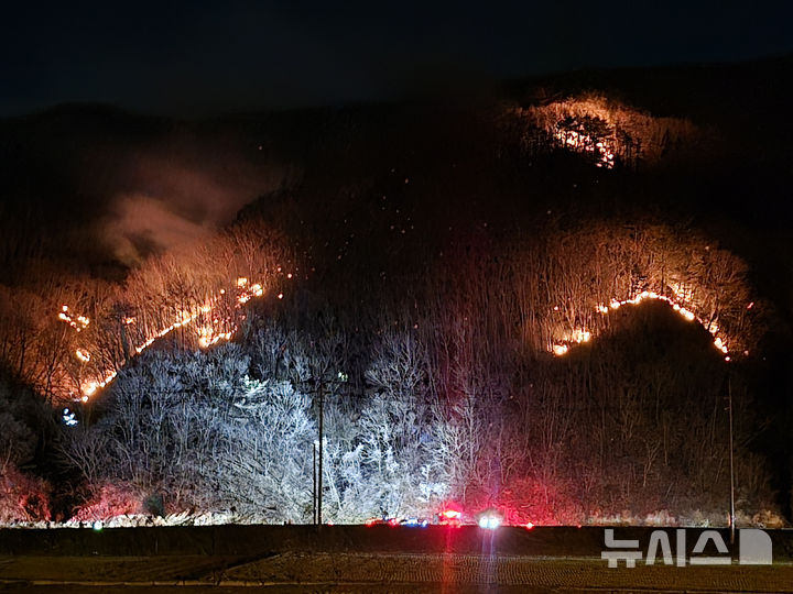 경주 산불, 재발화 3시간 만에 다시 주불 진화(종합)