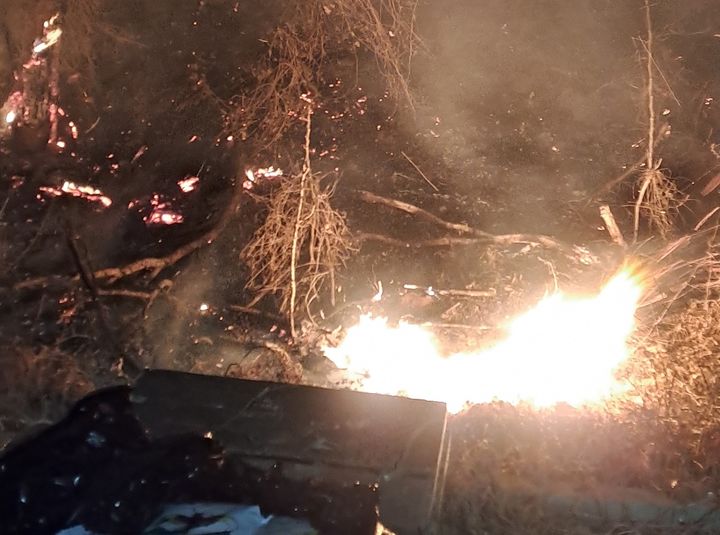 '쓰레기 태우다 또'…서산 지곡면 산불…48분 만에 진화