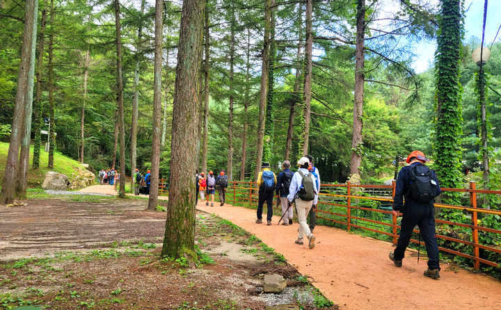 치악산둘레길 '함께걷기' *재판매 및 DB 금지