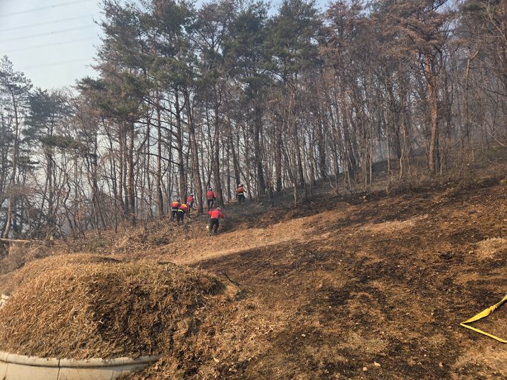 '또 재발화' 주불 잡힌 문무대왕면 산불…잔불 정리 총력