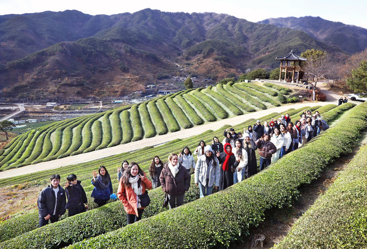 경남 하동 녹차밭 방문한 섬진강 스테이 특화상품 육성 외국인유학생 팸투어 참가자들.(자료사진=경남도 제공) *재판매 및 DB 금지