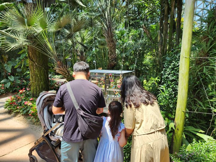 [거제=뉴시스] 앵무새가 전시된 거제식물원 정글돔. (사진=거제시 제공) 2026.02.09. photo@newsis.com) *재판매 및 DB 금지