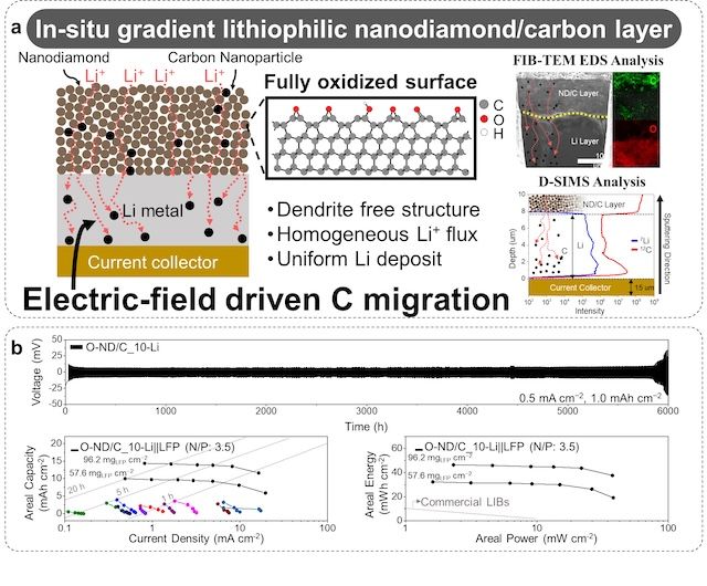 [서울=뉴시스] 개발된 이중층 모식도 및 리튬금속전지 성능 그래프. (사진=한양대 에리카 제공) 2026.02.09. photo@newsis.com *재판매 및 DB 금지