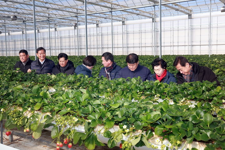 [밀양=뉴시스] 밀양시의회 의원들이 스마트팜혁신밸리 연계사업장에서 현장을 점검하고 있다. (사진= 밀양시 제공) 2026.02.09. photo@newsis.com *재판매 및 DB 금지