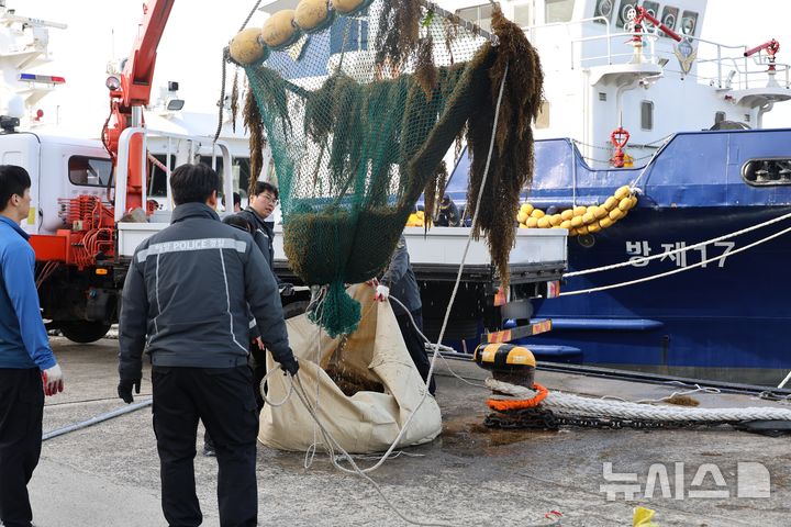'해상 안전 위협' 대규모 괭생이모자반…해경, 5t 수거