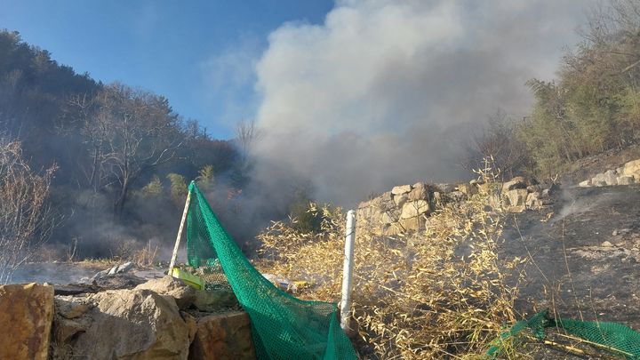 양산 원동면서 산불 발생…헬기 20대 투입 진화 중