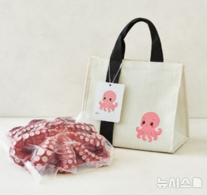 [서울=뉴시스] 롯데마트는 설 연휴를 앞두고 휴대성과 실용성을 앞세운 '핸드캐리(Hand-Carry)'형 선물세트를 선보인다고 10일 밝혔다. 사진은 국산 큰 문어 한 마리 선물세트와 문어 캐릭터가 그려진 손잡이 보냉백 이미지. (사진=롯데마트 제공) 2026.02.10. photo@newsis.com