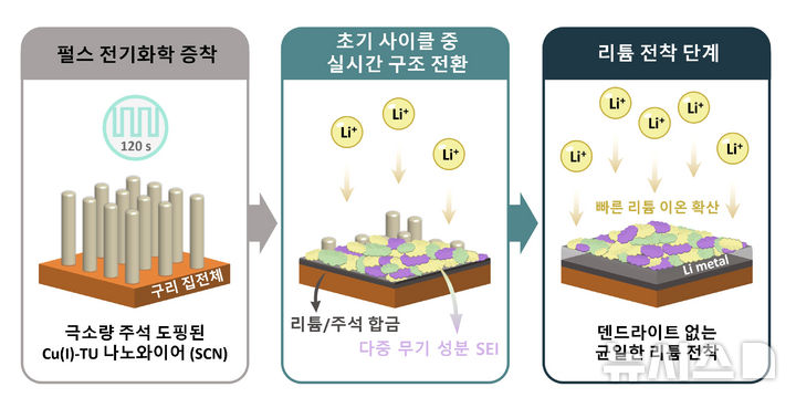 리튬 전착 단계 개념도. 펄스 전기화학 증착으로 제조된 SCN 집전체에서 초기 사이클 동안 리튬, 주석 합금화와 다중 무기 성분 SEI가 실시간으로 형성되어 Li 이온 확산이 균일화되고 덴드라이트 없는 리튬 석출이 구현되는 과정을 나타낸다. (그래픽=GIST 제공) photo@newsis.com