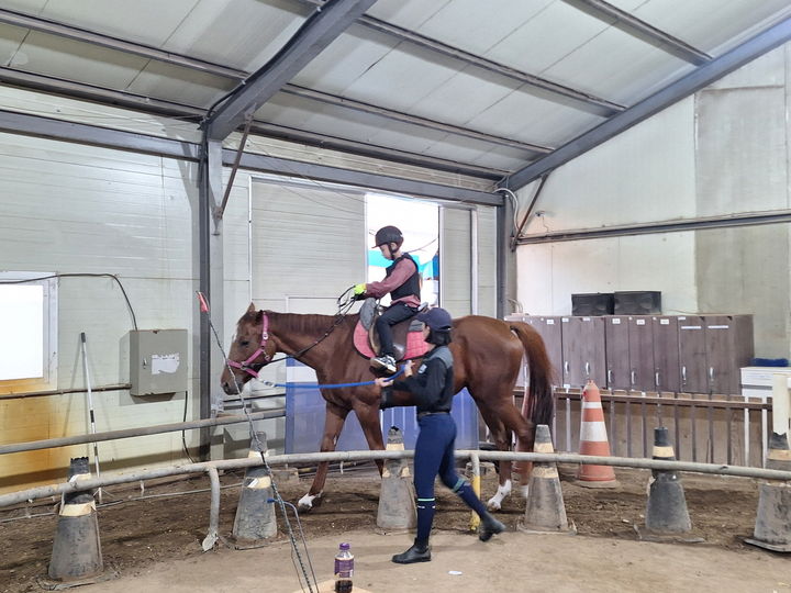 [안산=뉴시스]승마체험을 하고 있는 학생.(사진=안산시 제공)2026.02.10.photo@newsis.com *재판매 및 DB 금지