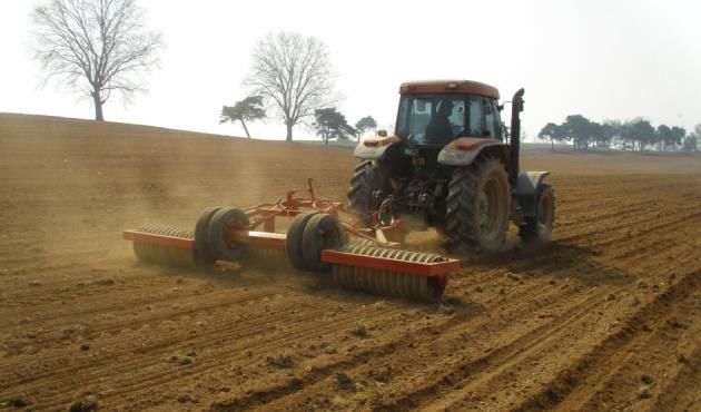 농진청 "가을 파종 지연·한파 우려…동계 사료작물 월동 후 관리 중요"