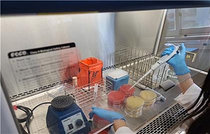 충북도보건환경연구원 설 명절 성수식품 검사 모습. (사진=충북도보건환경연구원 제공) *재판매 및 DB 금지