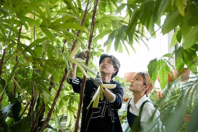 [서울=뉴시스] 삼육대 평생교육원이 '2급 치유농업사 양성기관'에 선정돼 교육과정을 운영한다. (사진=삼육대 제공) 2026.02.10. photo@newsis.com *재판매 및 DB 금지