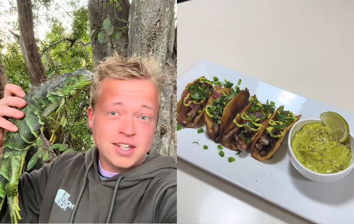 알 20개 든 이구아나 잡아 타코 요리, 350만뷰 영상…윤리 논쟁