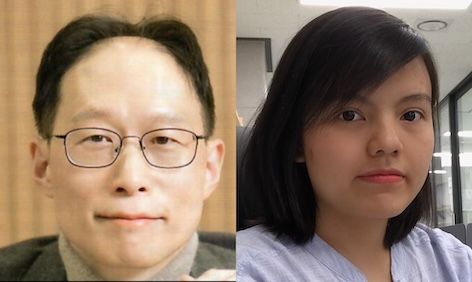 성균관대 연구진, '장-뇌-혈관' 연결하는 3차원 생체 칩 개발