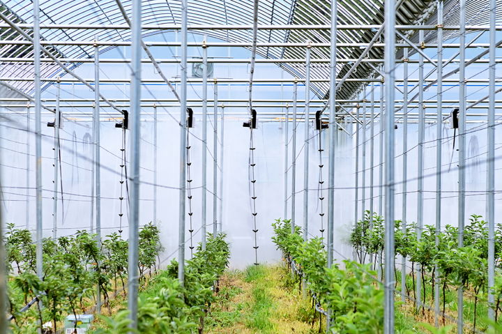 [청송=뉴시스] 청송군 사과재배 스마트팜 (사진=청송군 제공) 2026.02.10. photo@newsis.com *재판매 및 DB 금지