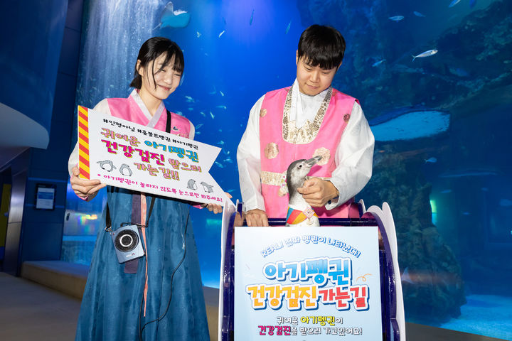 롯데월드 아쿠아리움 ‘아기 펭귄 건강 검진 가는 길’. (사진=롯데월드) *재판매 및 DB 금지
