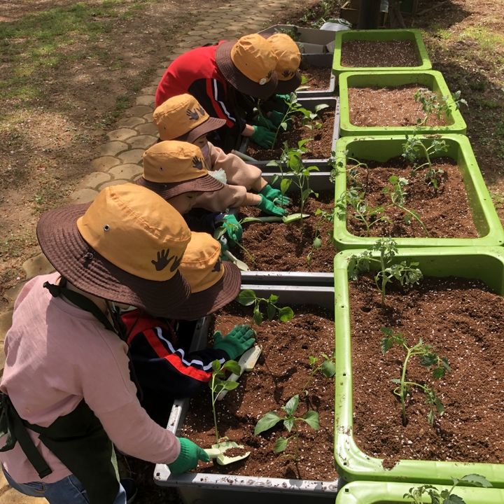 [거제=뉴시스] 신정철 기자 = 경남 거제시는 어린이들에게 농업에 대한 이해와 친숙함을 높이기 위해 관내 유치원 및 어린이집 20개소를 대상으로 '상자텃밭 보급 사업'을 추진한다고 10일 밝혔다.(사진=거제시 제공).2026.02.10. photo@newsis.com *재판매 및 DB 금지