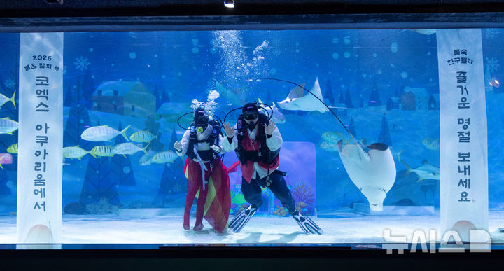 [서울=뉴시스] 김명년 기자 = 설 연휴를 앞둔 10일 오전 서울 강남구 씨라이프 코엑스 아쿠아리움에서 한복을 입은 다이버들이 새해 인사를 하고 있다. 2026.02.10. kmn@newsis.com
