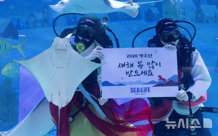 설 연휴 아쿠아리움으로 오세요 [뉴시스Pic]