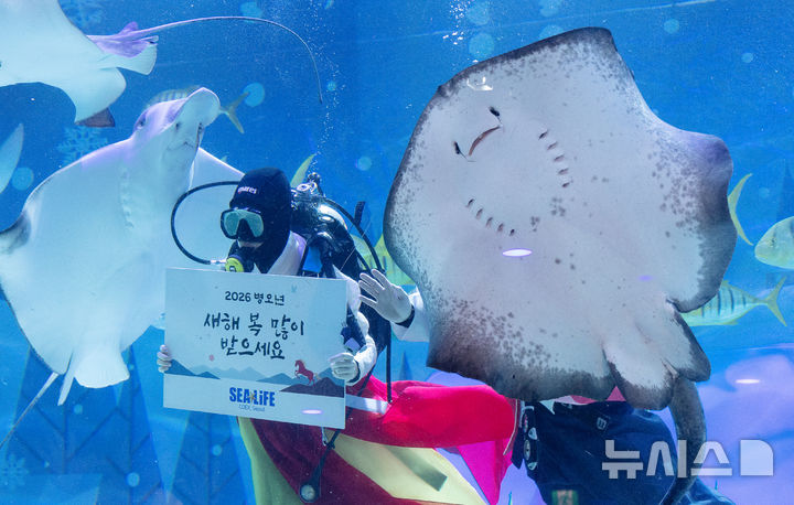 [서울=뉴시스] 김명년 기자 = 설 연휴를 앞둔 10일 오전 서울 강남구 씨라이프 코엑스 아쿠아리움에서 한복을 입은 다이버들이 새해 인사를 하고 있다. 2026.02.10. kmn@newsis.com