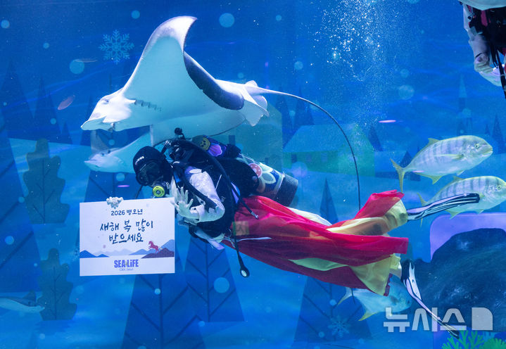 [서울=뉴시스] 김명년 기자 = 설 연휴를 앞둔 10일 오전 서울 강남구 씨라이프 코엑스 아쿠아리움에서 한복을 입은 다이버가 새해 인사를 하고 있다. 2026.02.10. kmn@newsis.com