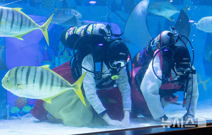 [서울=뉴시스] 김명년 기자 = 설 연휴를 앞둔 10일 오전 서울 강남구 씨라이프 코엑스 아쿠아리움에서 한복을 입은 다이버가 세배를 하고 있다. 2026.02.10. kmn@newsis.com