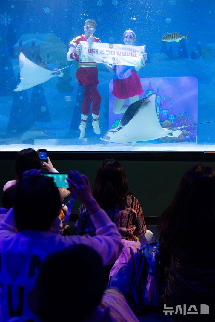 [서울=뉴시스] 김명년 기자 = 설 연휴를 앞둔 10일 오전 서울 강남구 씨라이프 코엑스 아쿠아리움에서 한복을 입은 수중 공연자들이 설 인사를 하고 있다. 2026.02.10. kmn@newsis.com