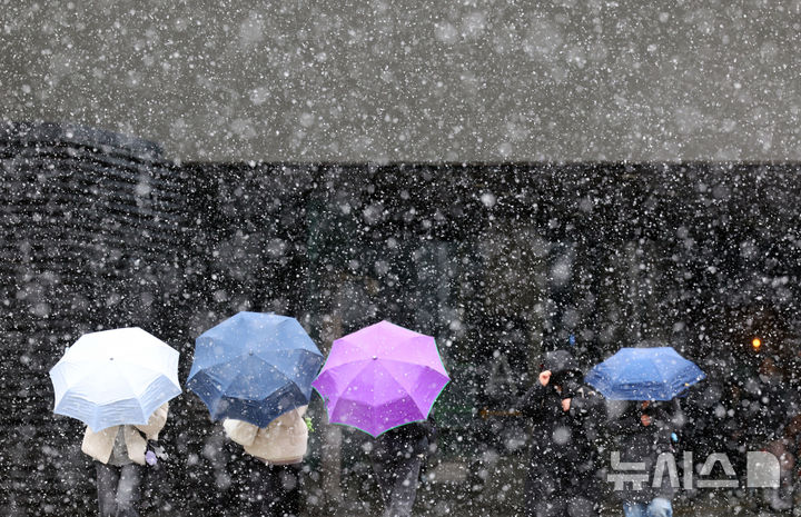 부산에도 눈 '펑펑' [뉴시스Pic]