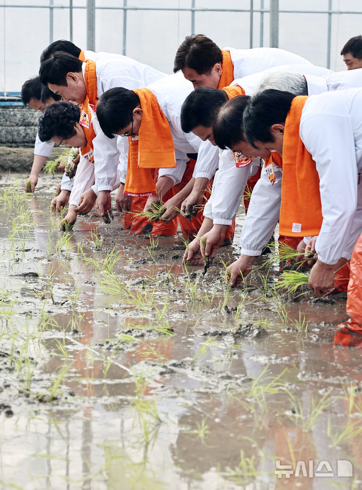 [이천=뉴시스] 김종택 기자 = 10일 경기 이천시 호법면 한 비닐하우스 논에서 열린 '임금님표 이천쌀 전국 첫 모내기' 행사에서 참석자들이 모를 심고 있다. 이날 모내기에 사용된 벼 품종은 진부올벼로 오는 6월에 수확 할 예정이다. (공동취재) 2026.02.10. photo@newsis.com