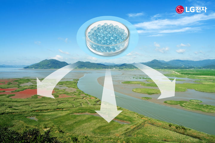 [서울=뉴시스]순천만 갯벌에 LG전자 '마린 글라스'를 적용하는 모습. (사진 = LG전자) 2026.02.11. photo@newsis.com *재판매 및 DB 금지