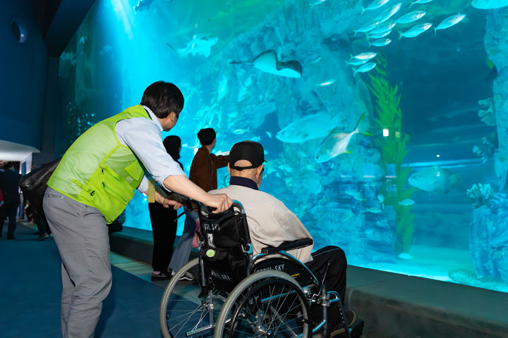 서울관광재단이 2022년 ‘우수유니버설 관광시설’로 선정한 롯데월드 아쿠아리움. (사진=롯데월드) *재판매 및 DB 금지